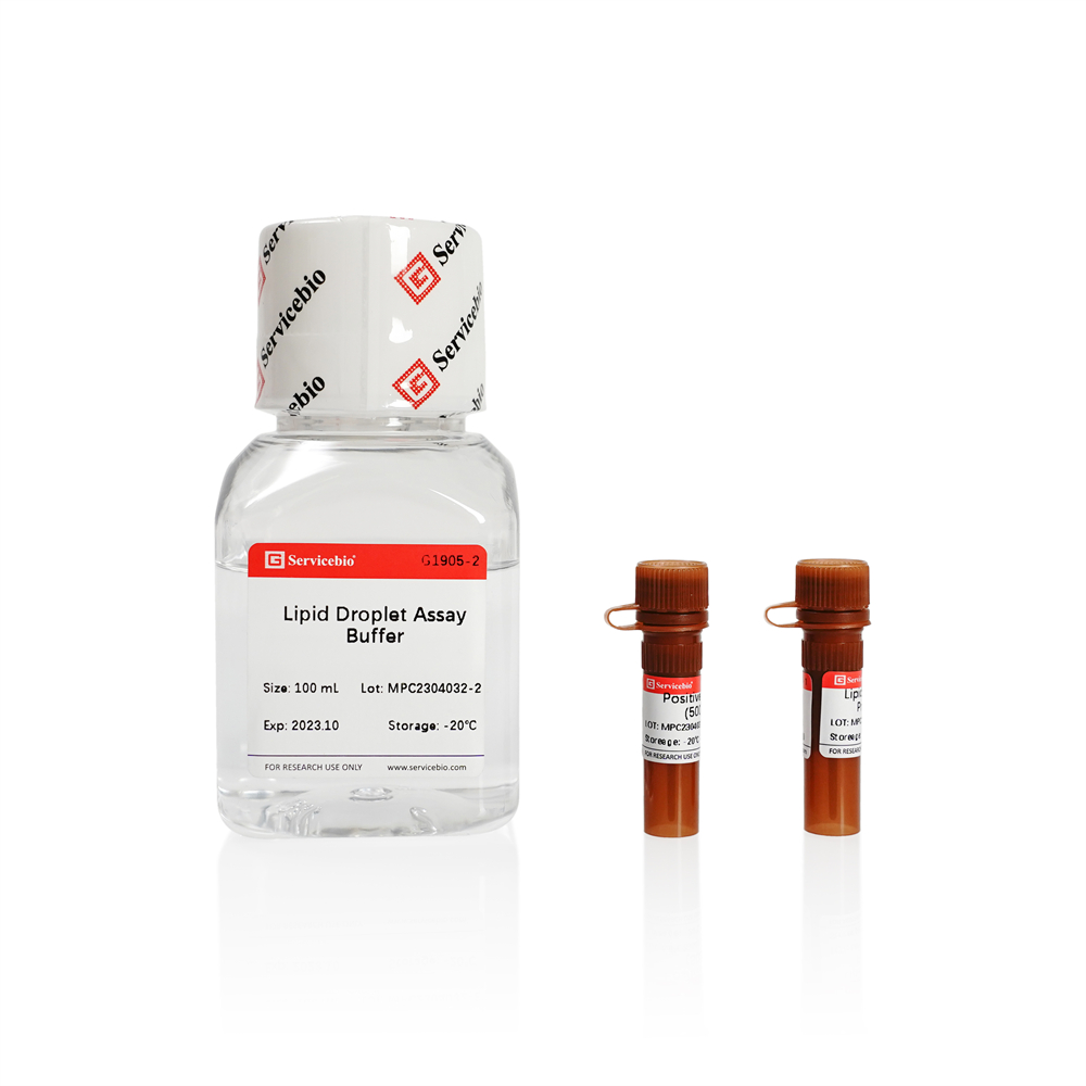 Lipid Droplets Fluorescence Assay Kit (100T)
