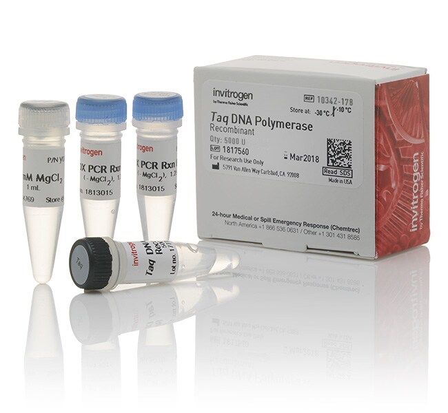 Taq DNA Polymerase (1000 U)