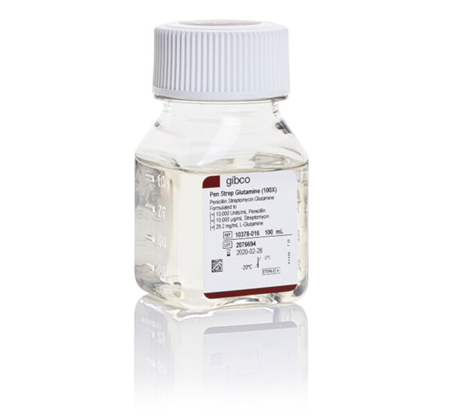 Penicillin-Streptomycin-Gentamicin Additive (100 µL)