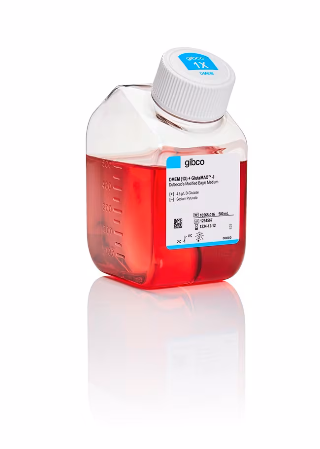 DMEM High Glucose, no L-Glutamine, no calcium (500 mL)