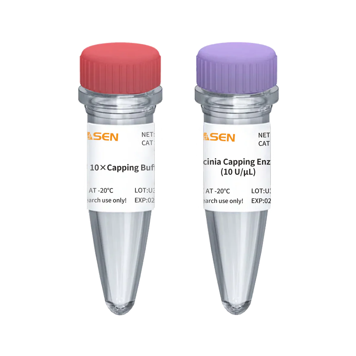 Vaccinia Capping Enzyme (500 U)