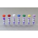 Bulk Replenisher (12 Groups) - Expt. 153