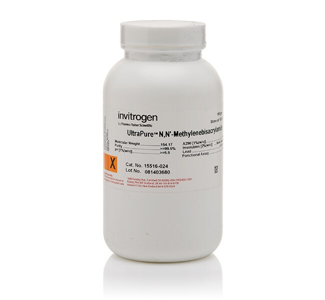 N,N'-Methylenebis (Acrylamide) (100 g)