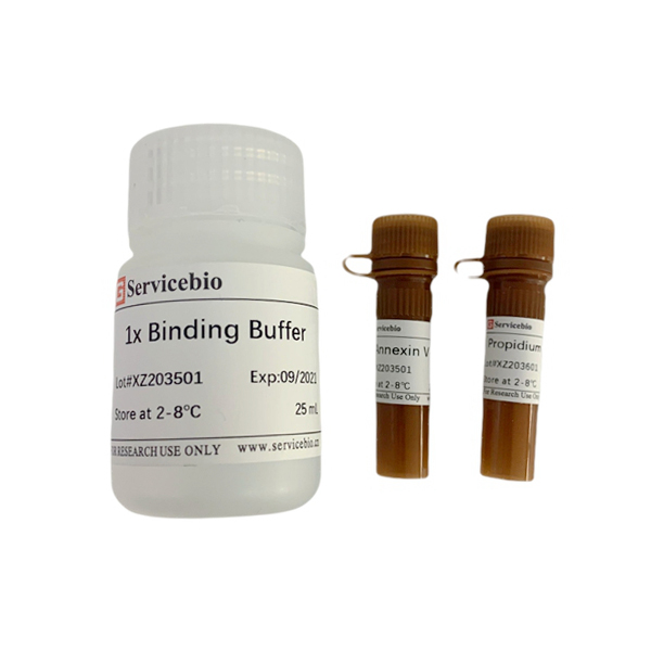 Annexin V-EGFP/PI Cell Apoptosis Detection Kit (100T)