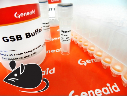 The gSYNC™ DNA Extraction Kit