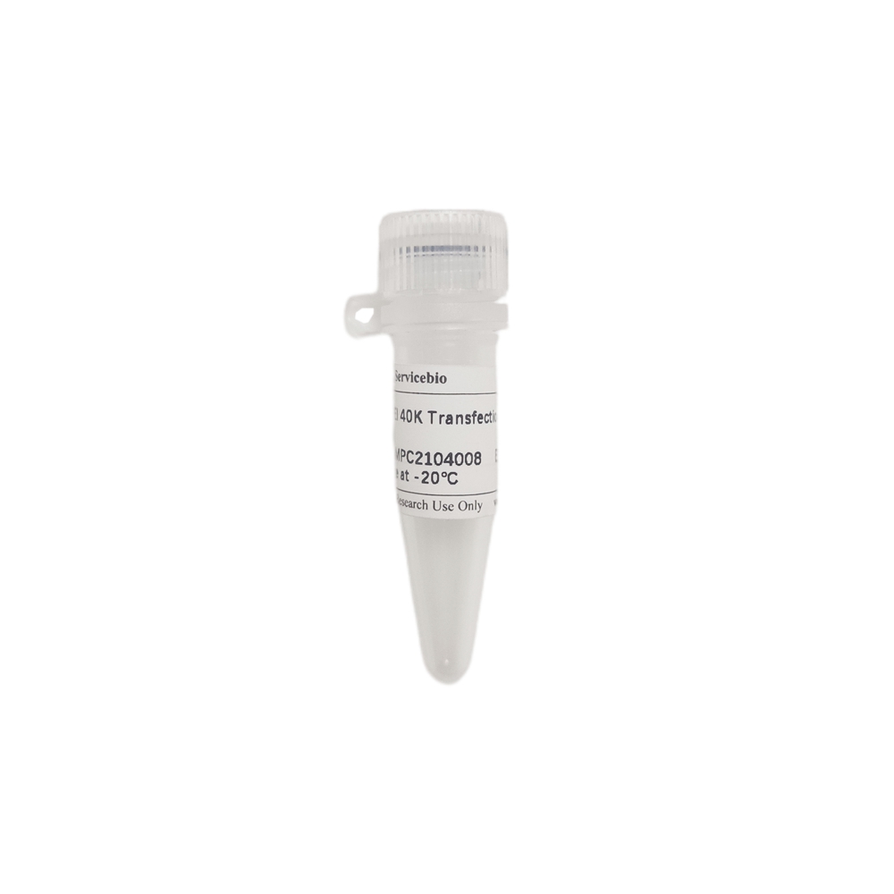 SweTransRNA Transfection Reagent (0.5 mL)