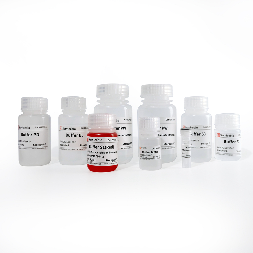 High Purity Plasmid DNA Miniprep Kit (100 T)