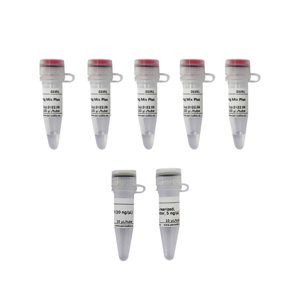 2×In-Fusion Cloning Mix (20 T)