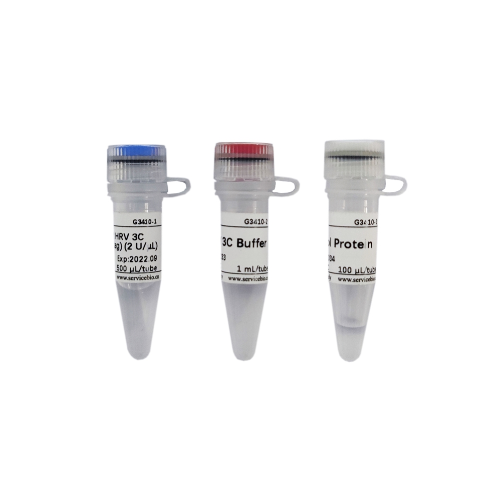 Endoglycosidase H (Endo H) (25000 U)