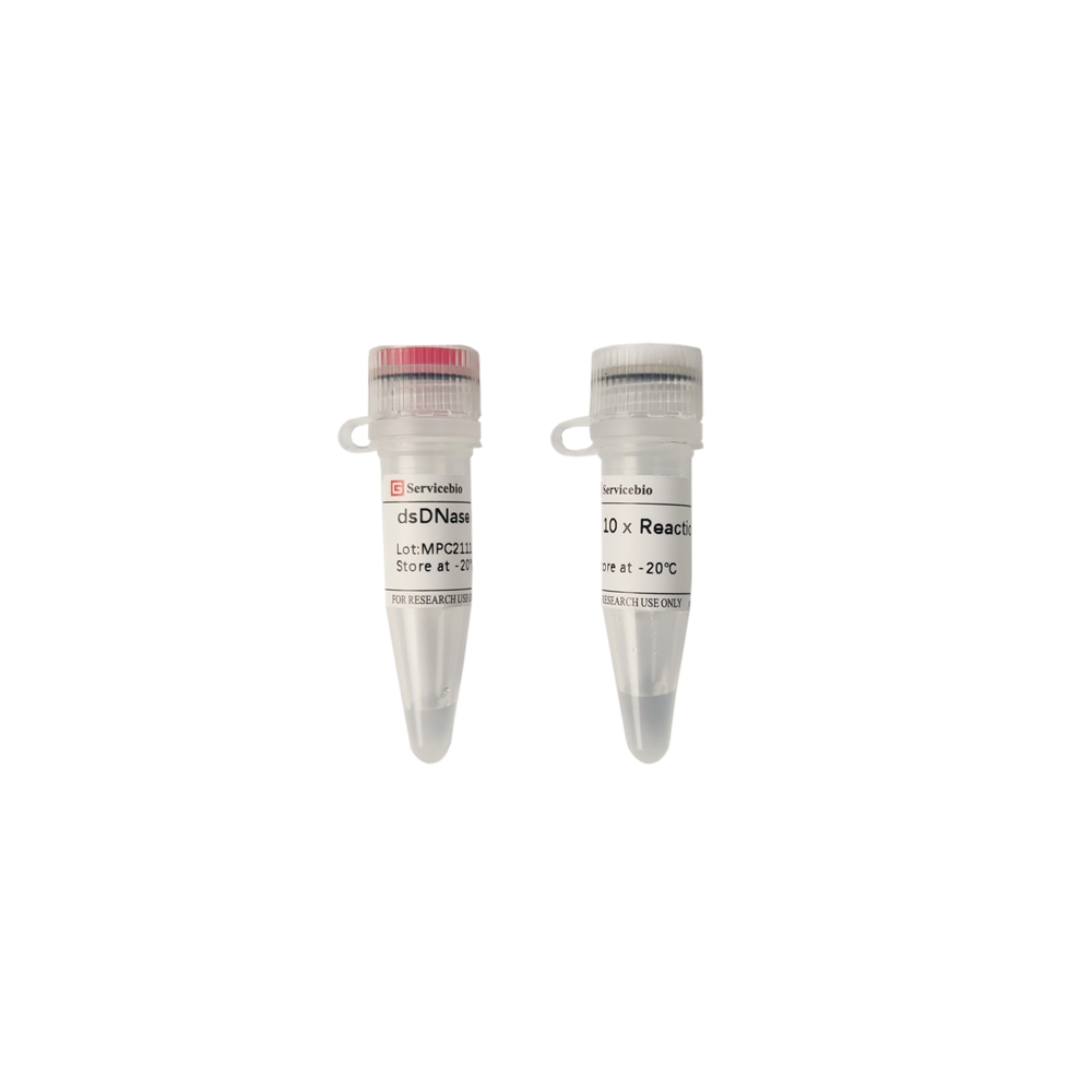 dsDNase (Thermolabile) (50 µL)