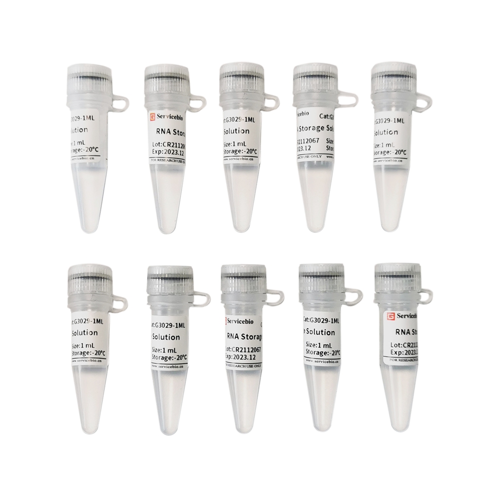 RNA Lysis Solution (RNase Inactivated Type) (10×1 mL)