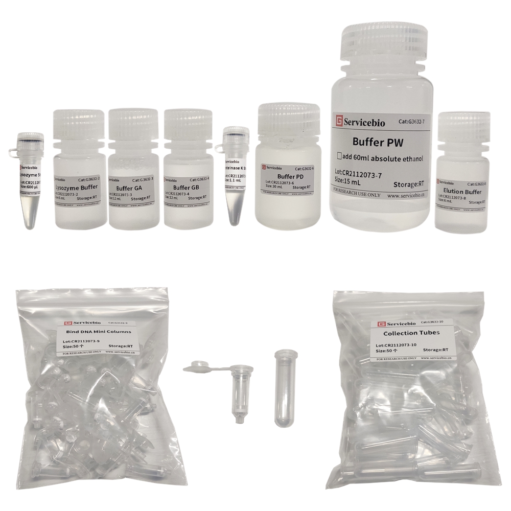 Bacterial Genomic DNA Extraction Kit (50 T)