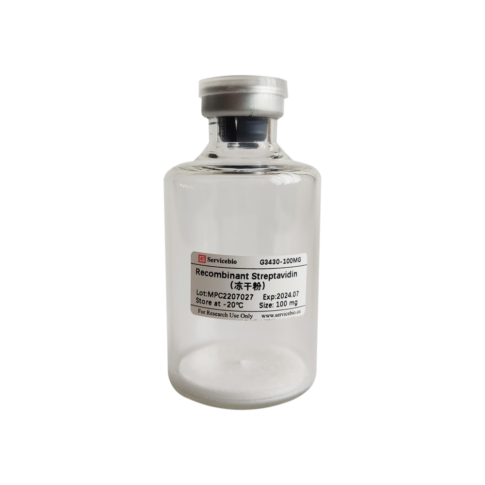 Recombinant Streptavidin (Freeze-Dried Powder) (5 mg)