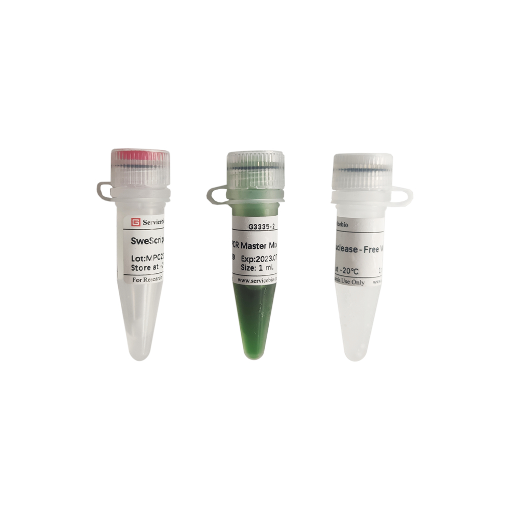 SweScript One-Step RT-PCR Kit (100 rxns)