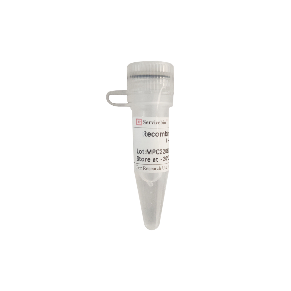 Recombinant Lysozyme (Human) (1 mL)
