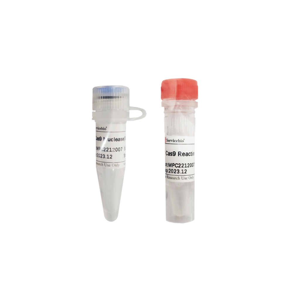 Cas9 Nuclease(SpCas9) (50 pmol)