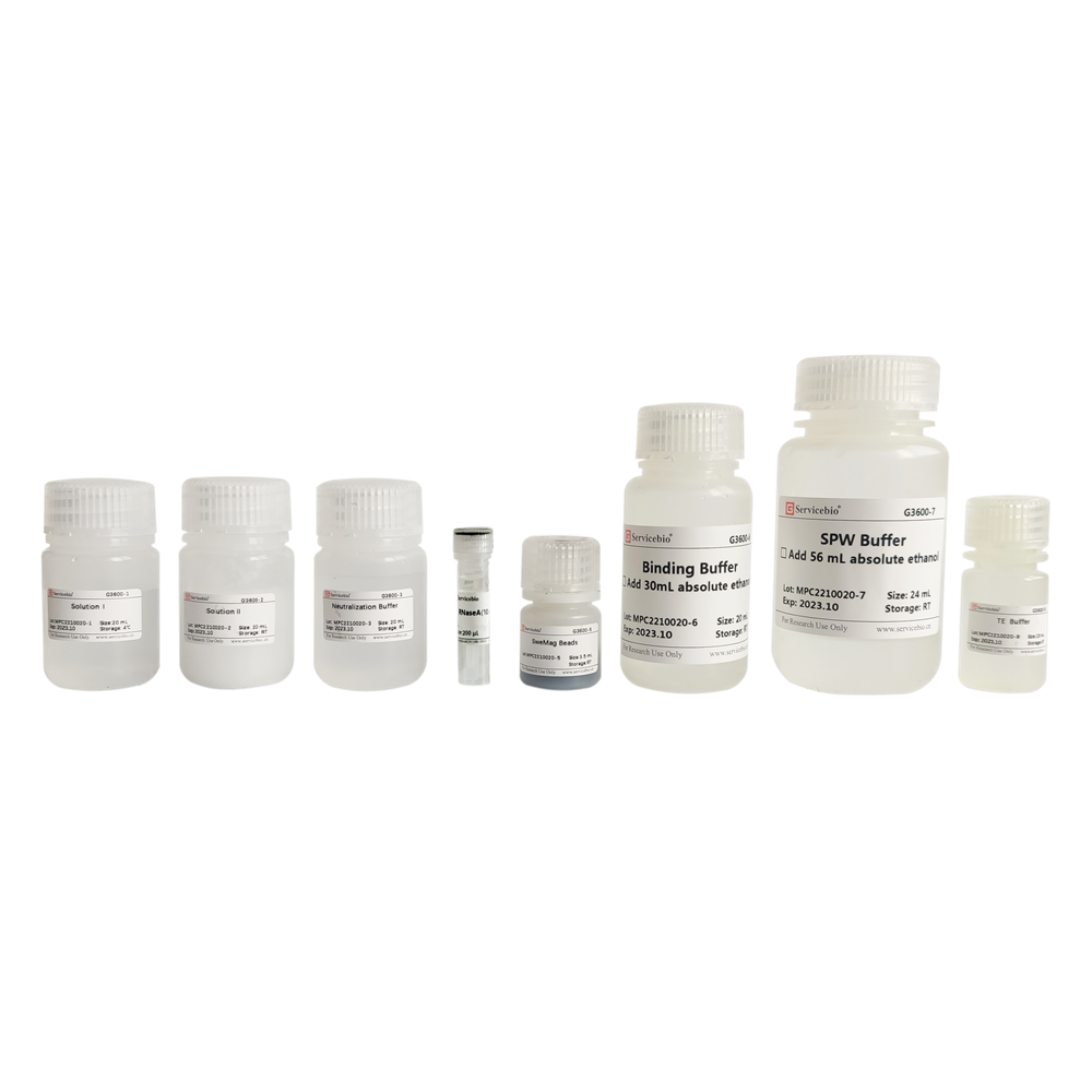 Endo-Free Plasmid Miniprep Kit II (50 T)