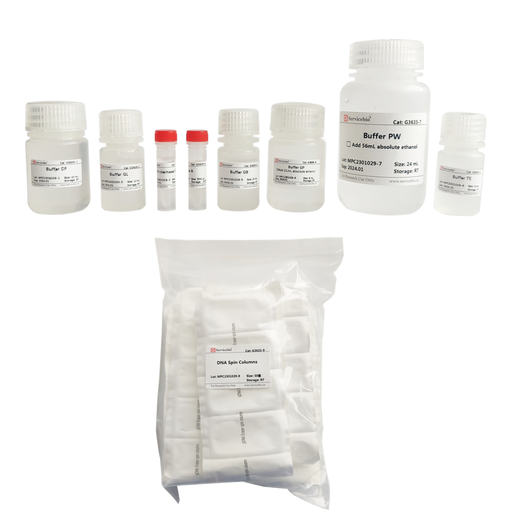 FFPE Genomic DNA Extraction Kit (50 T)