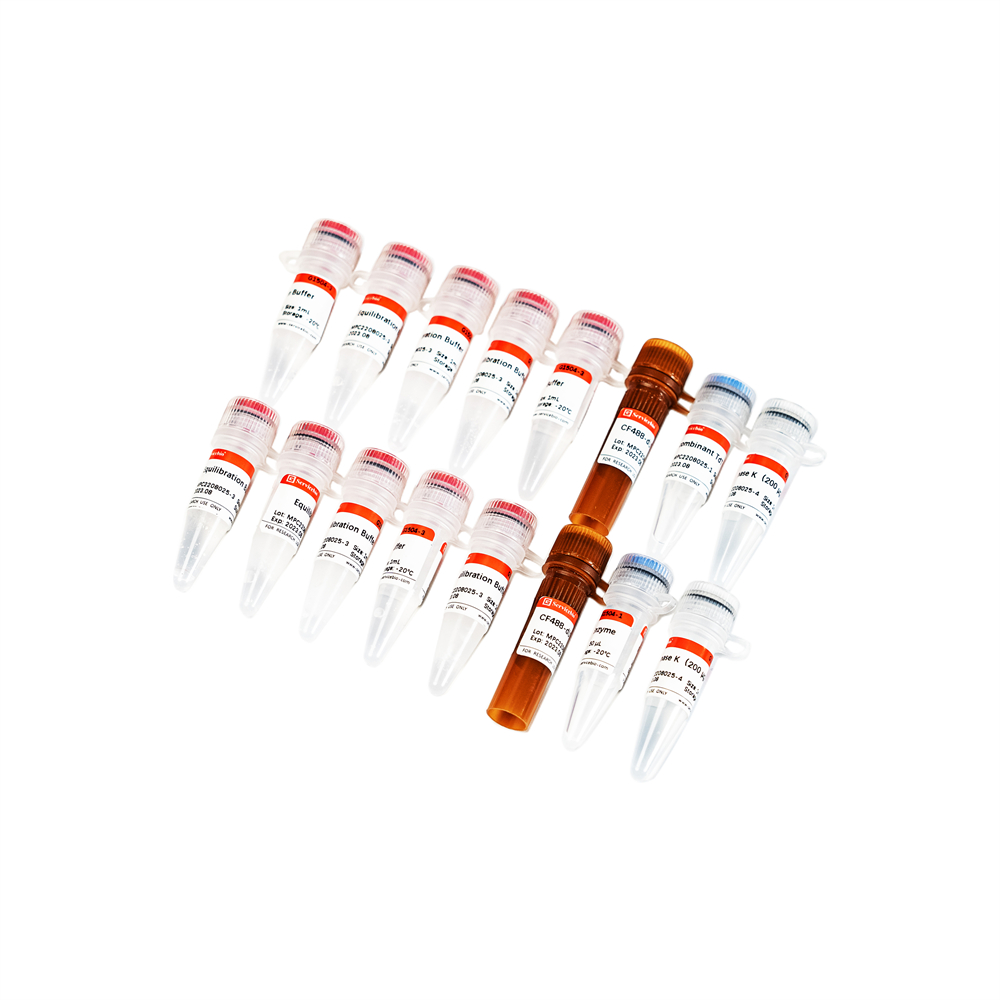 CF488 Tunel Cell Apoptosis Detection Kit (50T)