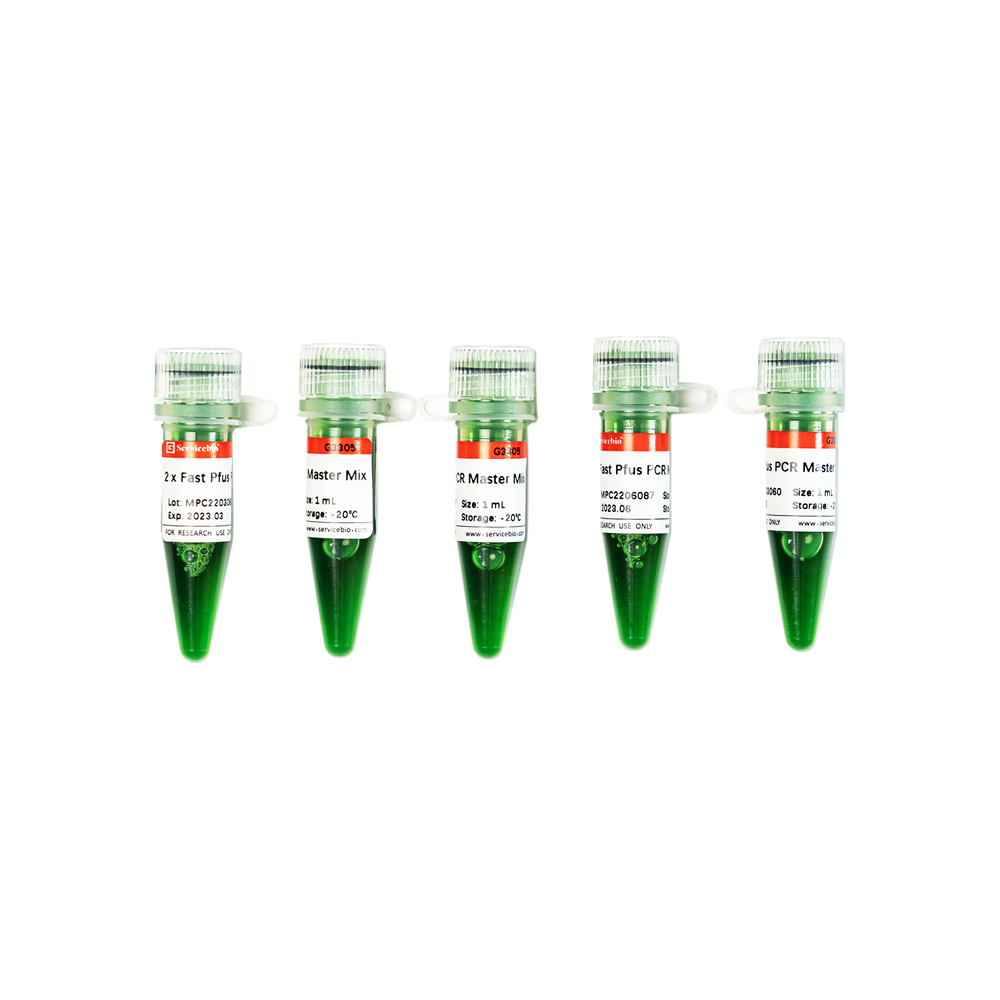 2 x Fast Pfus PCR Master Mix (1 mL)