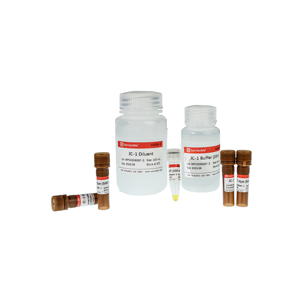 JC-1 Mitochondrial Membrane Potential Assay Kit (100T)
