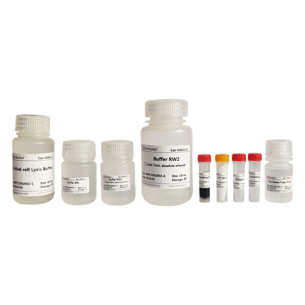 MagBind Bacterial Total RNA Extraction Kit (50 T)