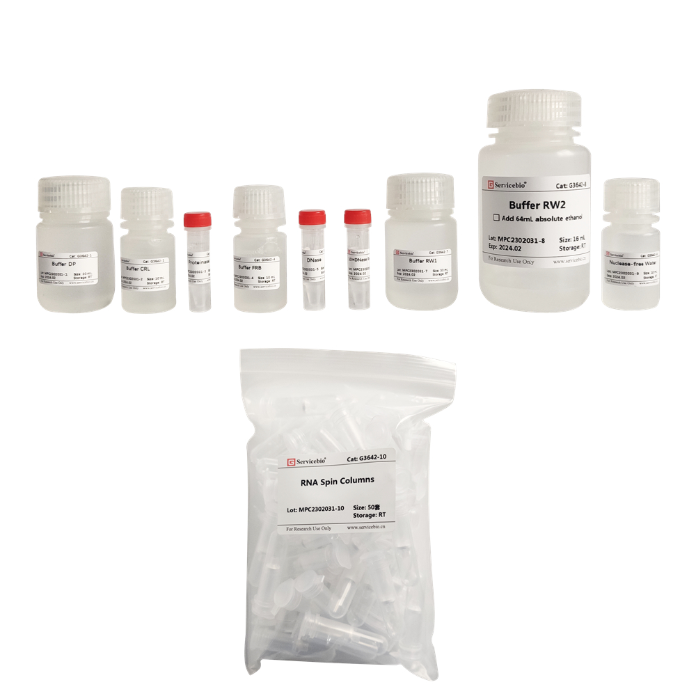 FFPE RNA Extraction Kit (50 T)