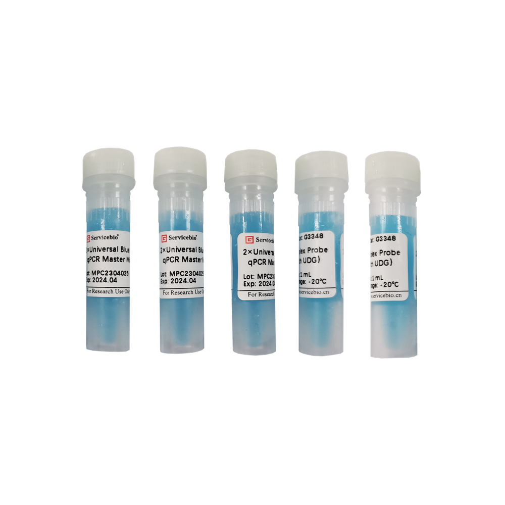 2×Universal Blue Multiplex Probe qPCR Master Mix (with UDG) (15×1 mL)