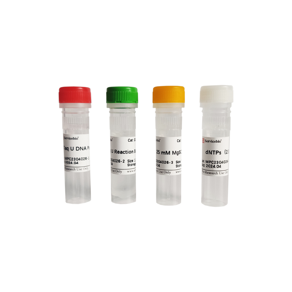 Fast Plasmid DNA Purification Kit (100 T)