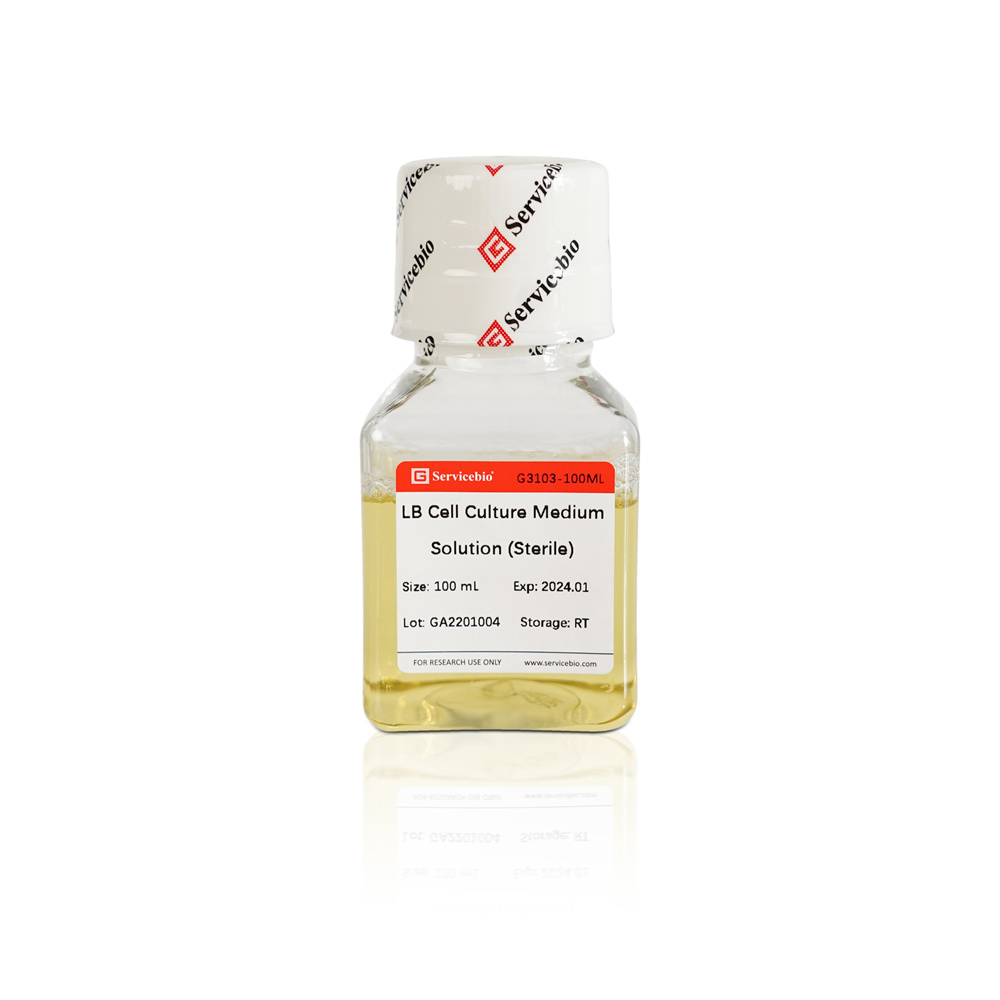 LB Broth, Sterile (100 mL)