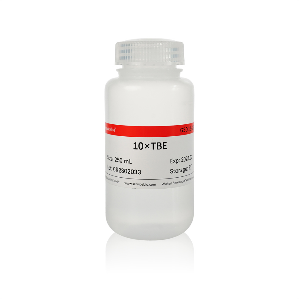 10×TBE Electrophoresis Buffer Solution (250 mL)