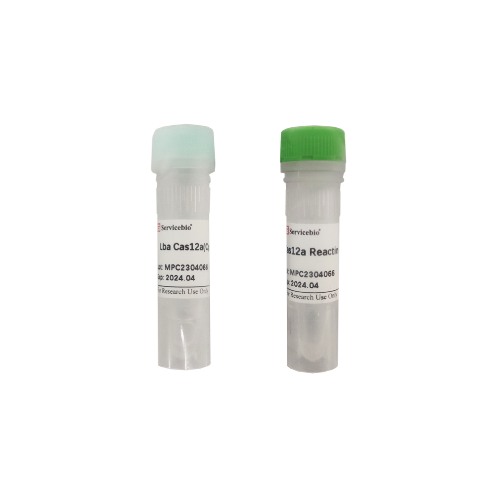 Lba Cas12a (CpfI) Nuclease (50 pmol)