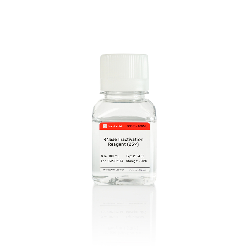 RNase Inactivating Solution (25x) (100 mL)