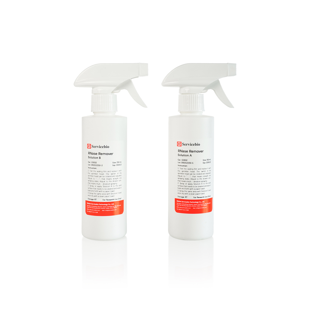 RNase Remover (2×250 mL)