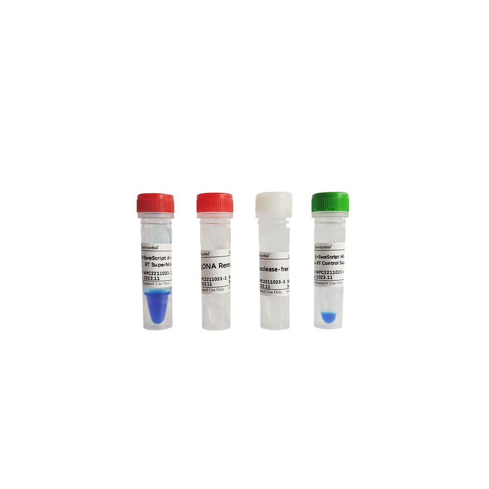SweScript All-in-One RT SuperMix for qPCR (One-Step gDNA Re) (100 rxns)