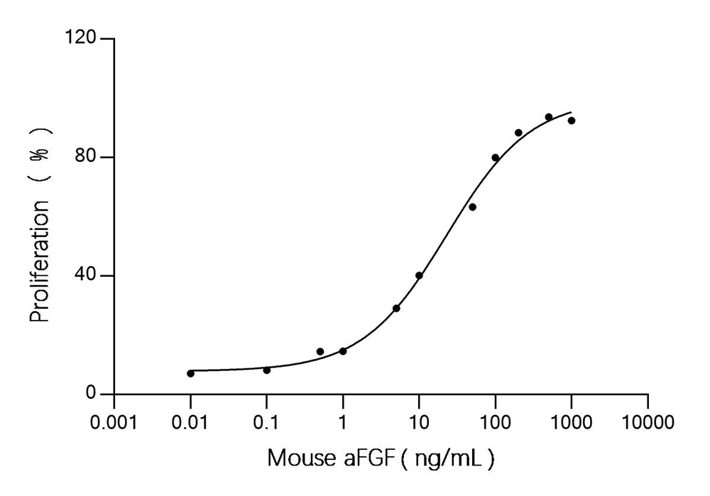 Recombinant Mouse aFGF Protein (100 µg)