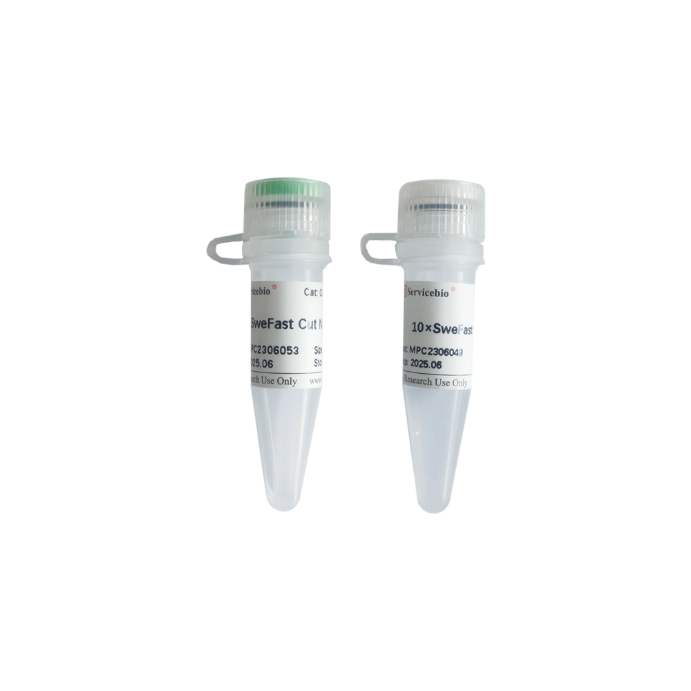 SweFast Cut NheI (100 T)