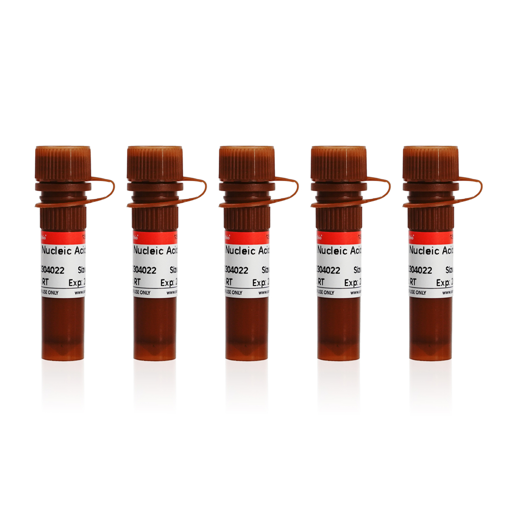 GoldView nucleic acid dye (10000×, water soluble) (5×1 mL)