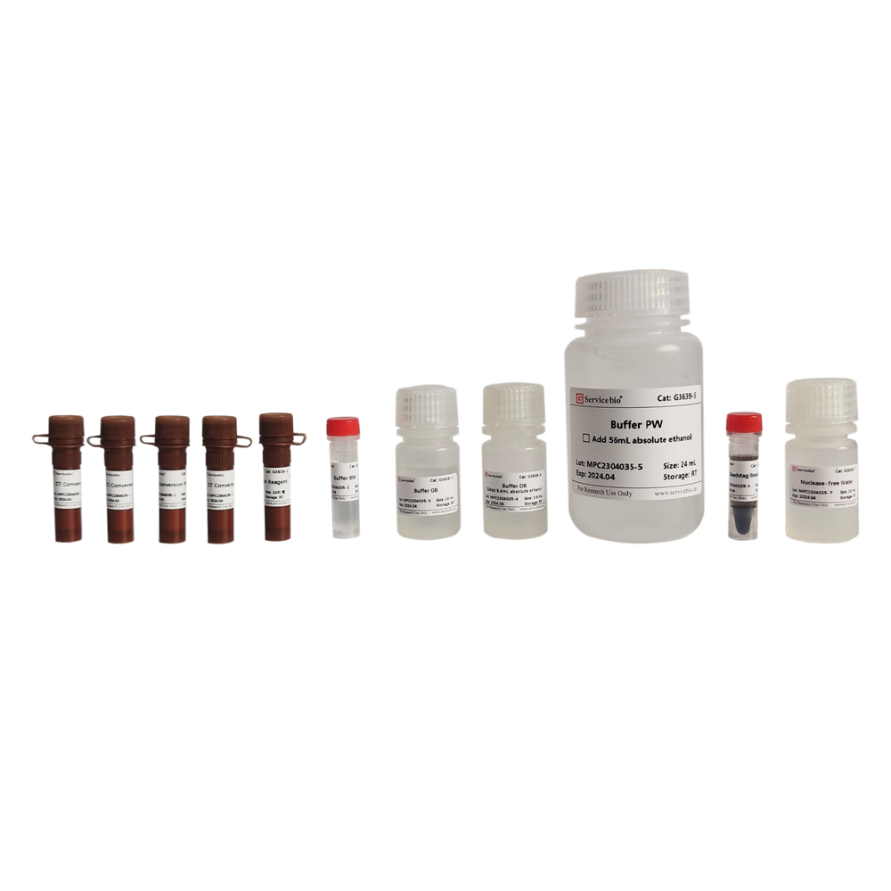 MagBind MethylGold DNA Bisulfite Conversion Kit (50 T)