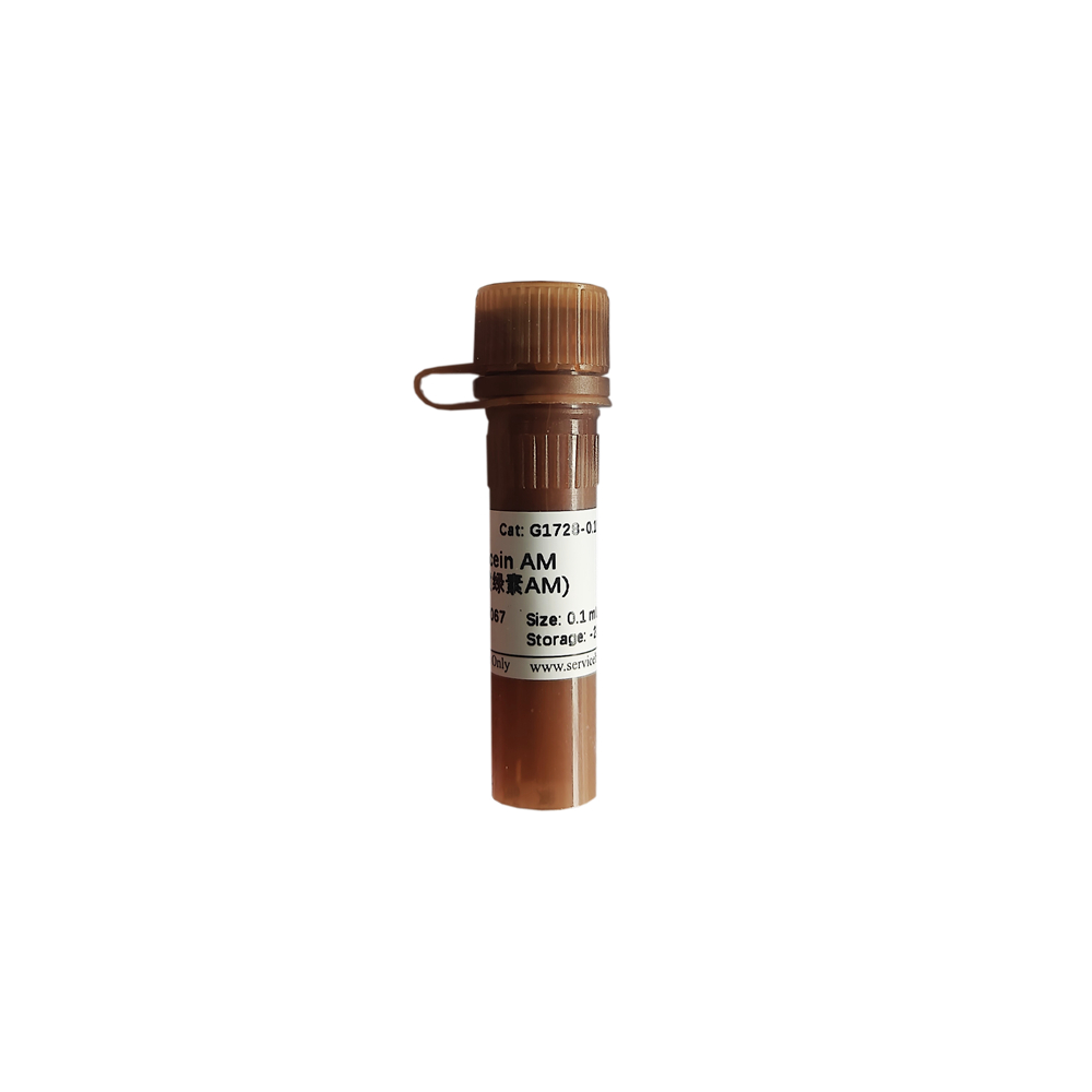Calcein AM (0.1 mL)