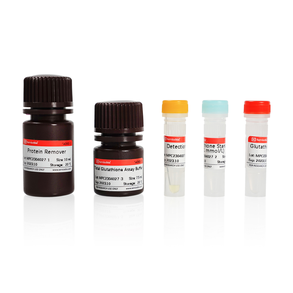 Total Glutathione (T-GSH) Assay Kit (96T)