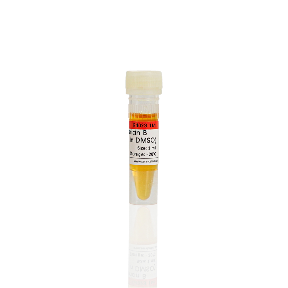Amphotericin B (2.5 mg/mL in DMSO) (1 mL)