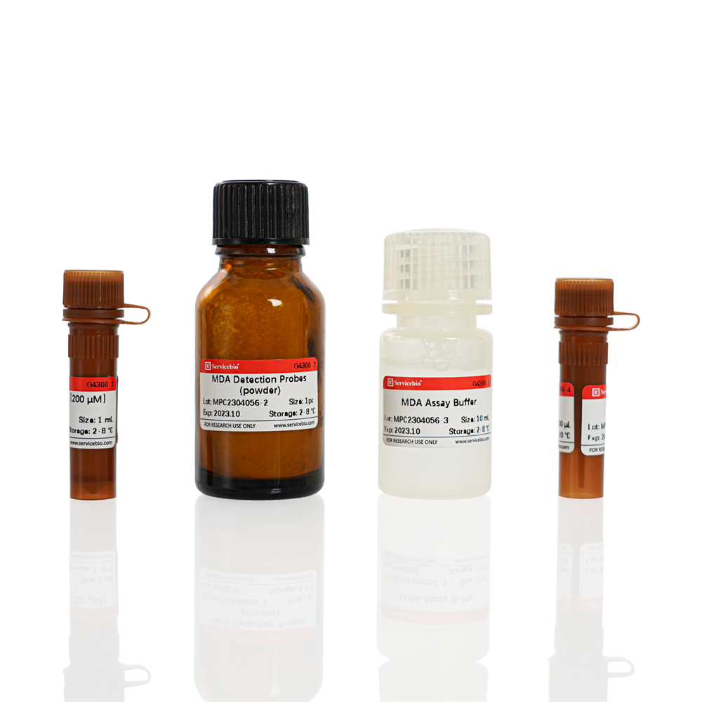 Malondialdehyde (MDA) Assay Kit (for Tissue and Blood) (48 T)