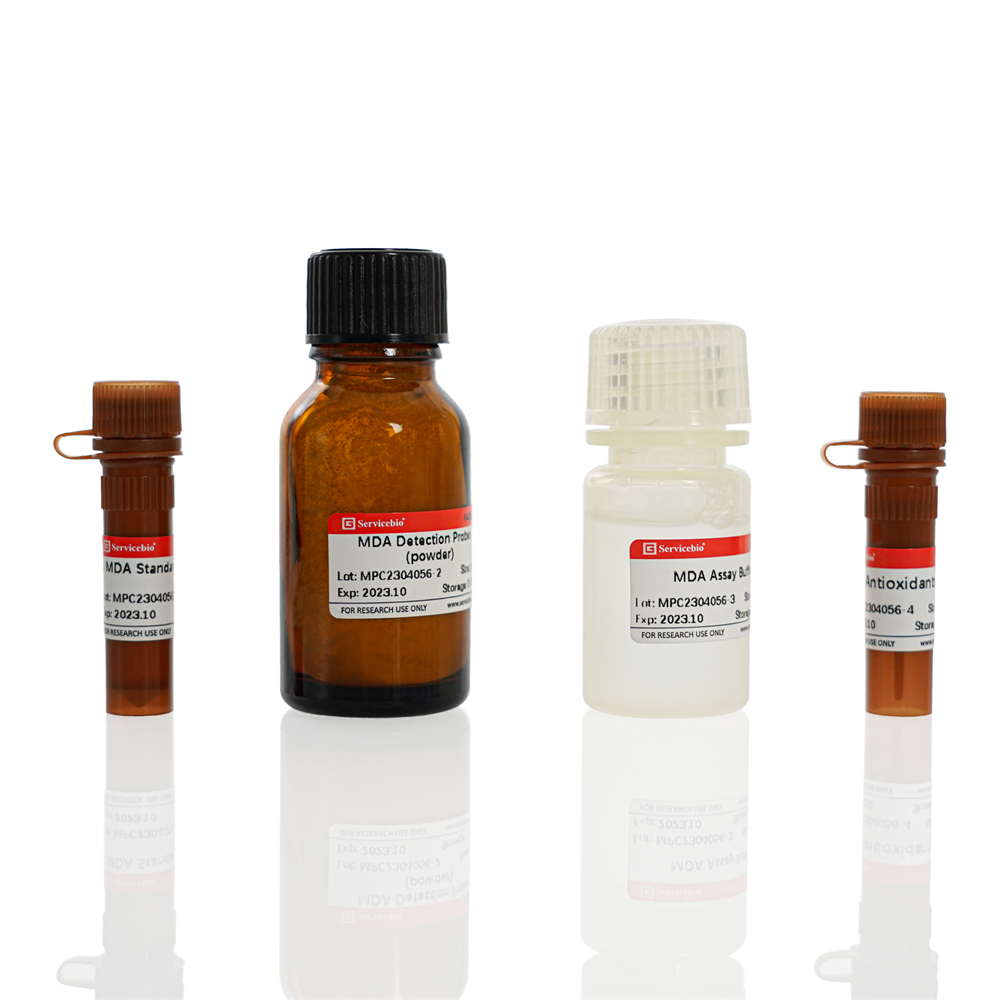 Malondialdehyde (MDA) Assay Kit for Cell Samples (48T)