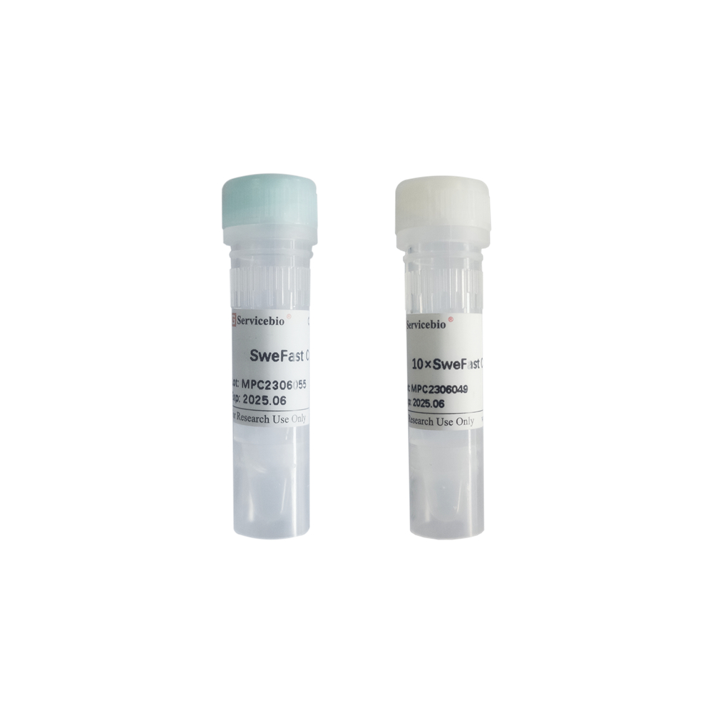 SweFast Cut PaeR7I (100 T)