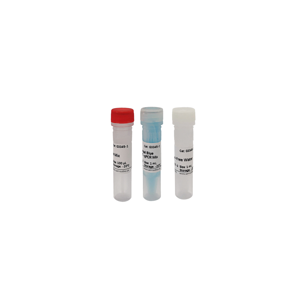 Universal One-Step RT-qPCR Kit (100 rxns)