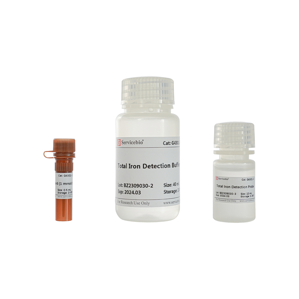 Total Iron Ion Assay Kit (96 T)