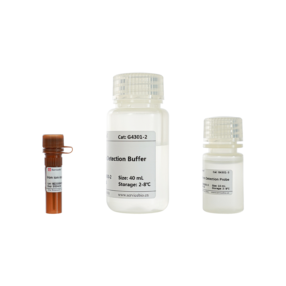 Total Iron Ion Assay Kit (48 T)