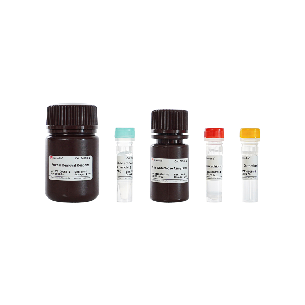 Total Glutathione/Oxidized Glutathione Assay Kit (96 T)