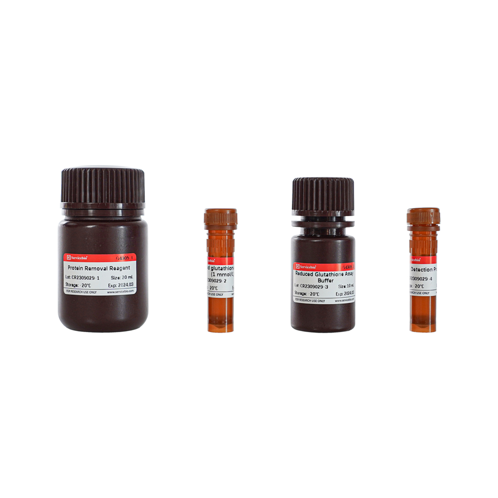 Glutathione Reductase (Recombinant) (500 µL)